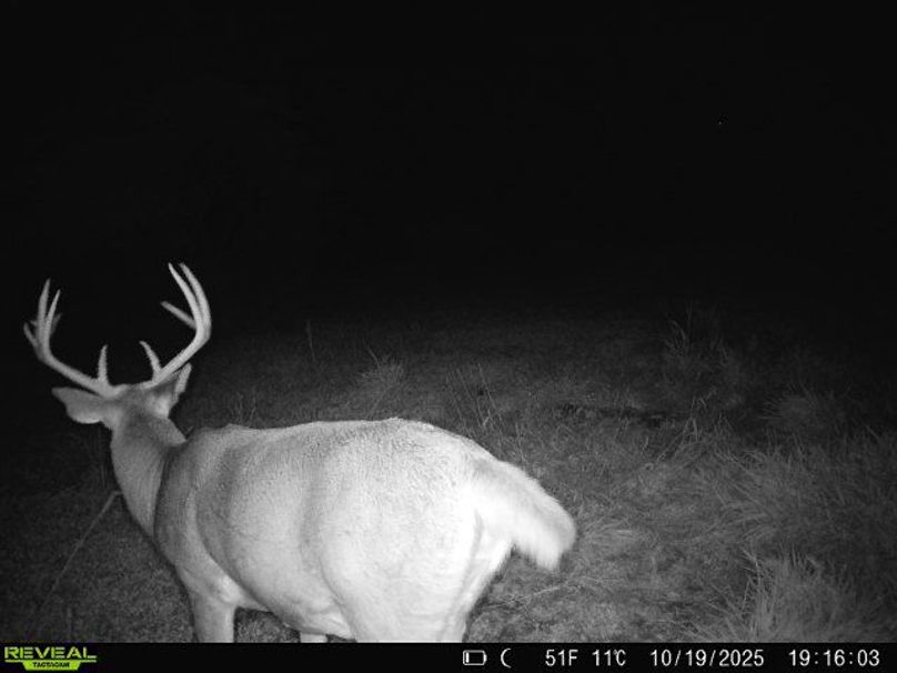 860516064895174-10-3-10192025191602-W1002599