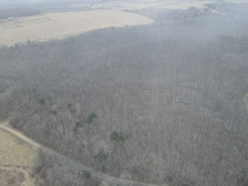 dji_fly_20230217_154356_2_1676666651871_photo