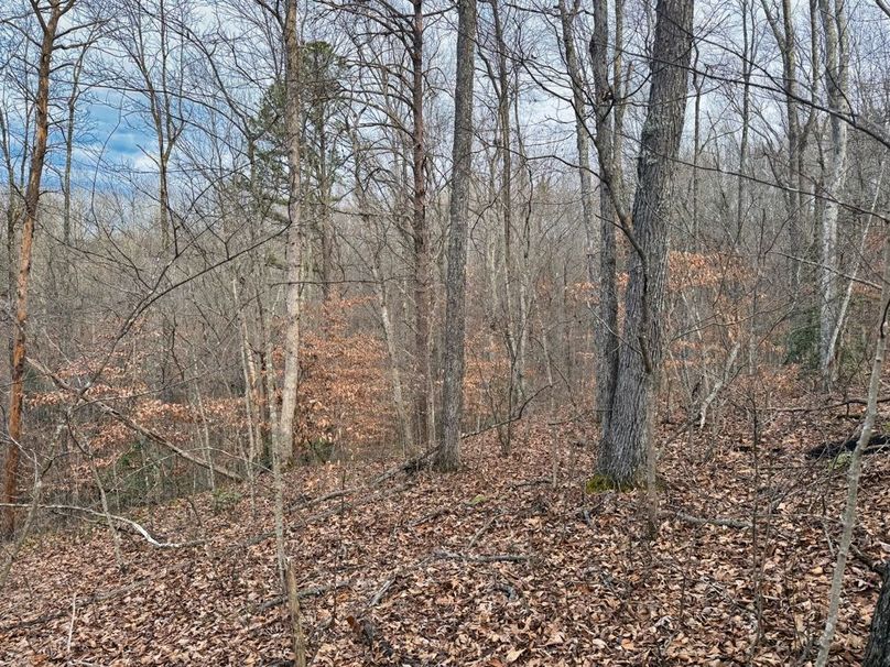 019 brisk morning up on the ridge-2