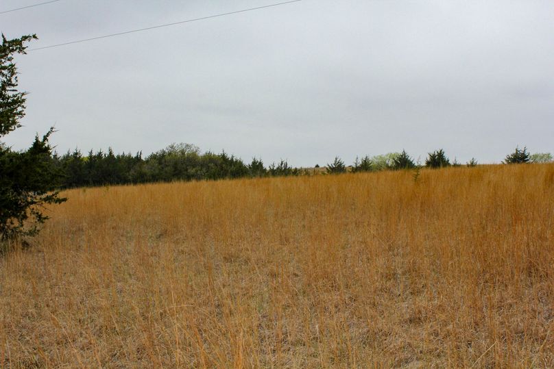 Washington, Co, 83.3_031