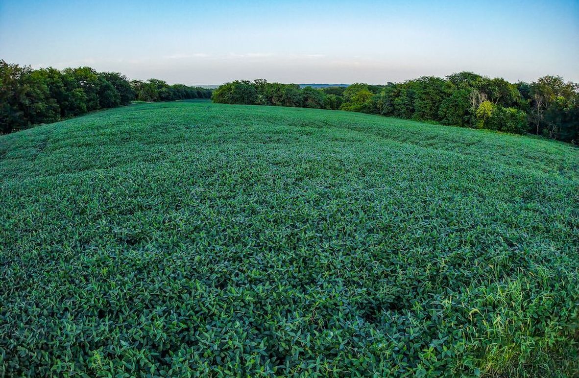 DJI_20250723193830_0354_D