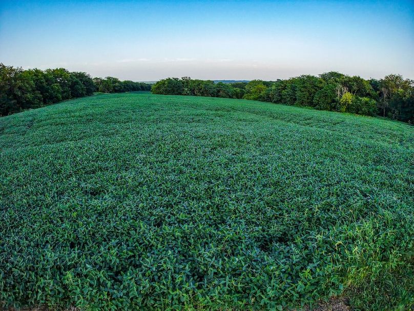 DJI_20250723193830_0354_D