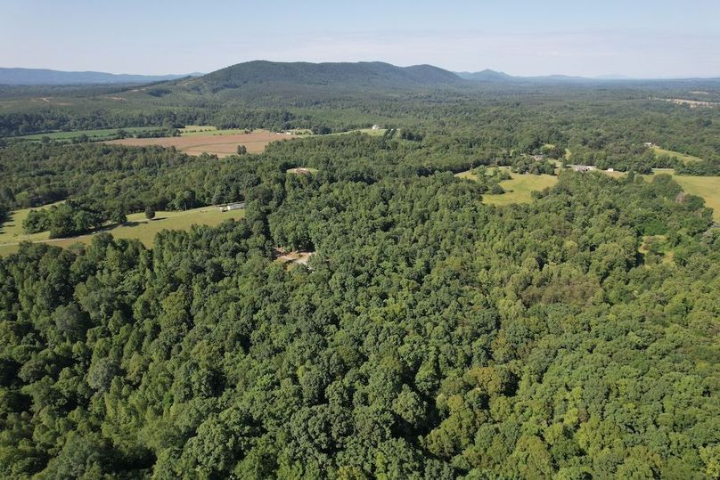 DJI_0005
