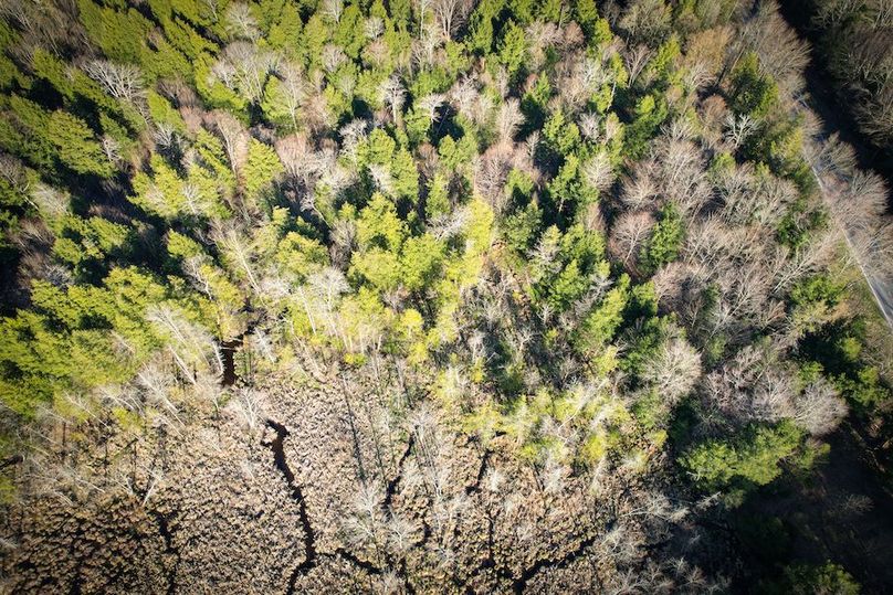 Oswego_17.88_Feld_Photos_65