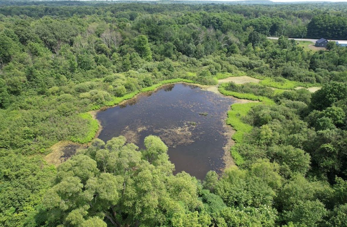 Oswego_13.95_Moore_Bush_Photos_3