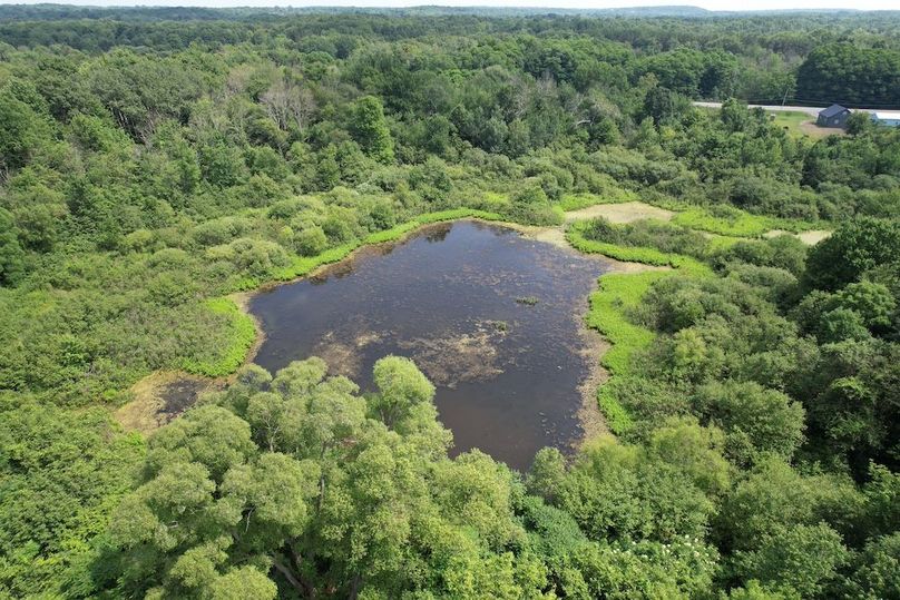 Oswego_13.95_Moore_Bush_Photos_3