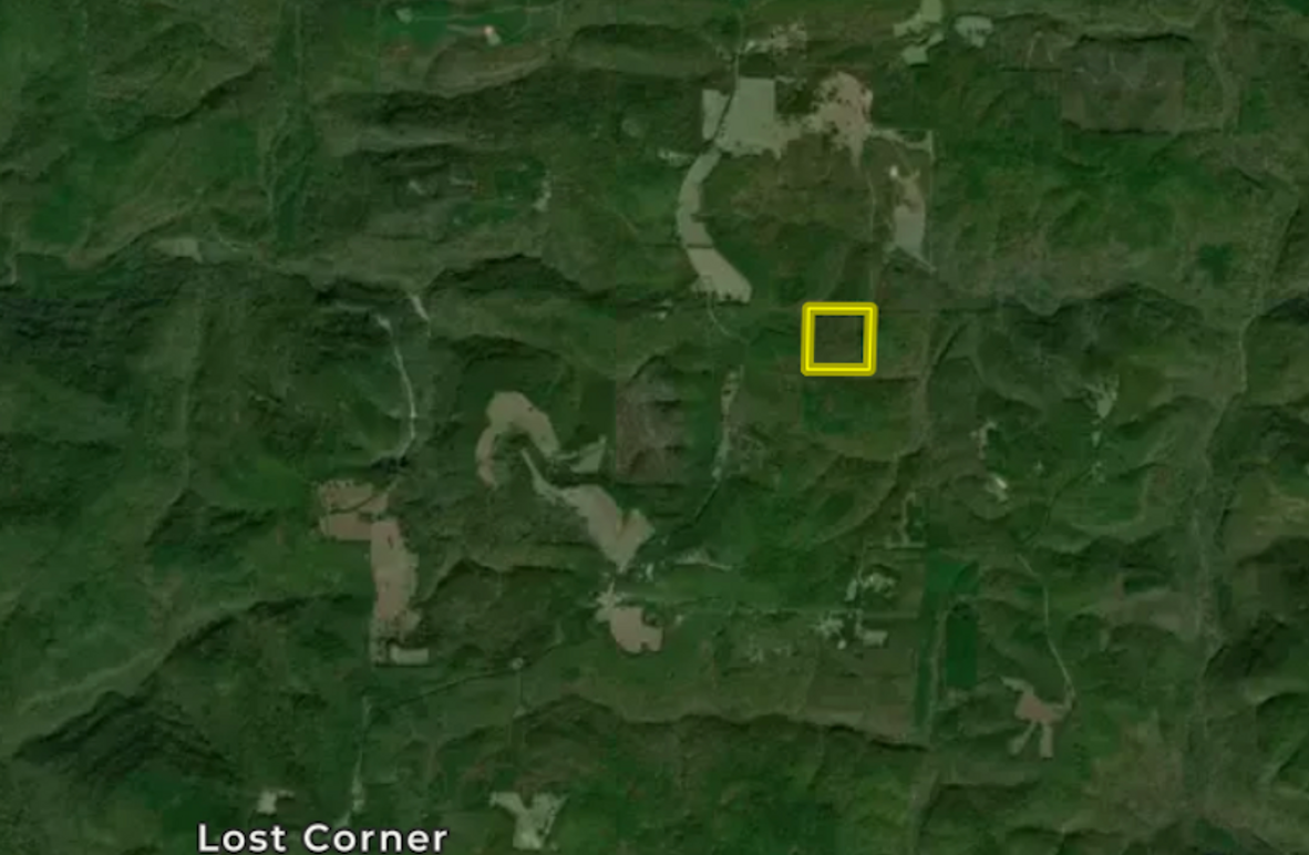 Screenshot 2025-04-03 at 10.12.38 AM