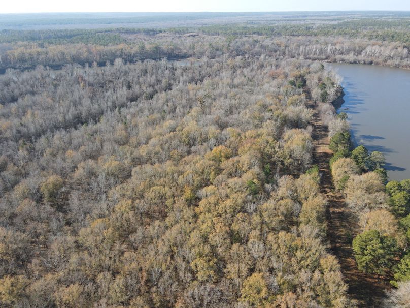 dji_fly_20240104_103408_16_1704386067884_photo 2