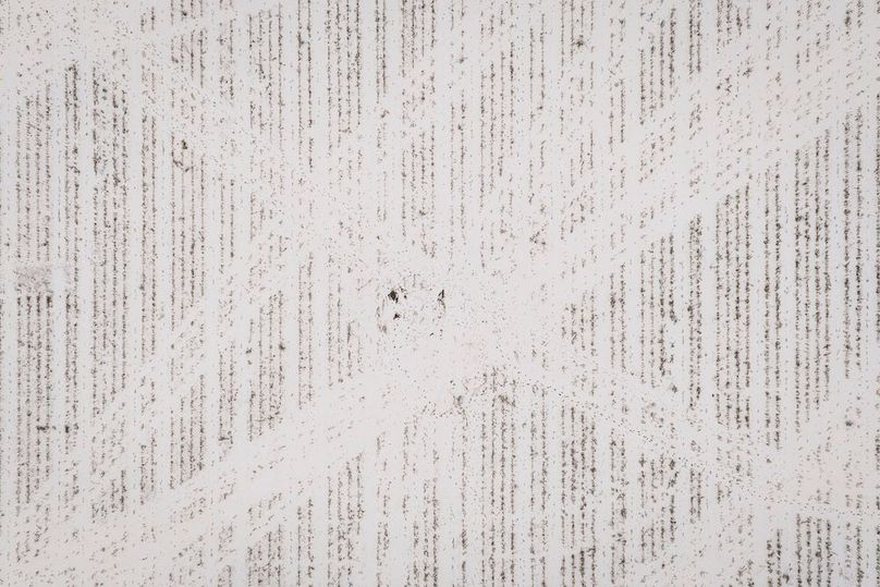 DJI_20251212141551_0016_D