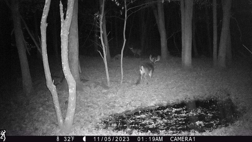 Sauk 174 Trailcam - 30