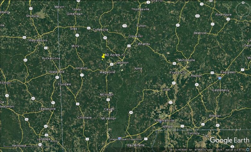 Aerial #7 Approx. 40 Acres Washington County, AL