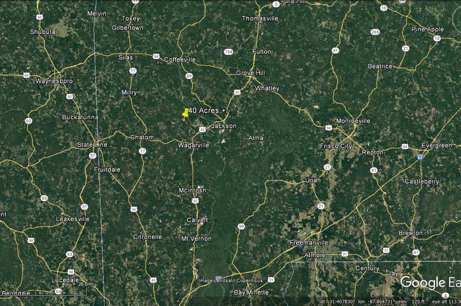 Aerial #7 Approx. 40 Acres Washington County, AL