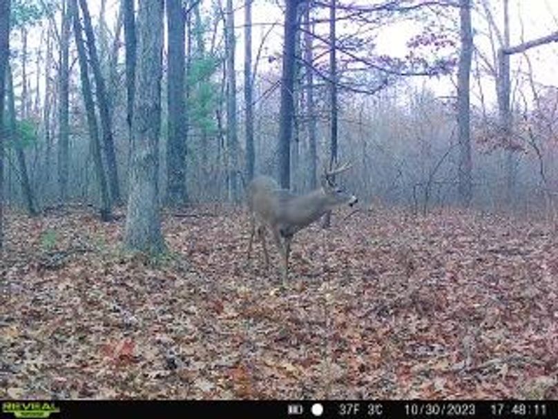 601306ab-b8ed-4828-ae6f-fc9e75688d23