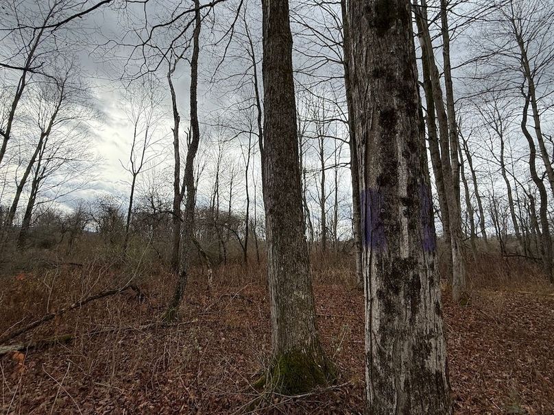 Tompkins_15.15_Galarza Photo 11