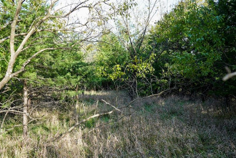 Dickinson Co, 154.5_052