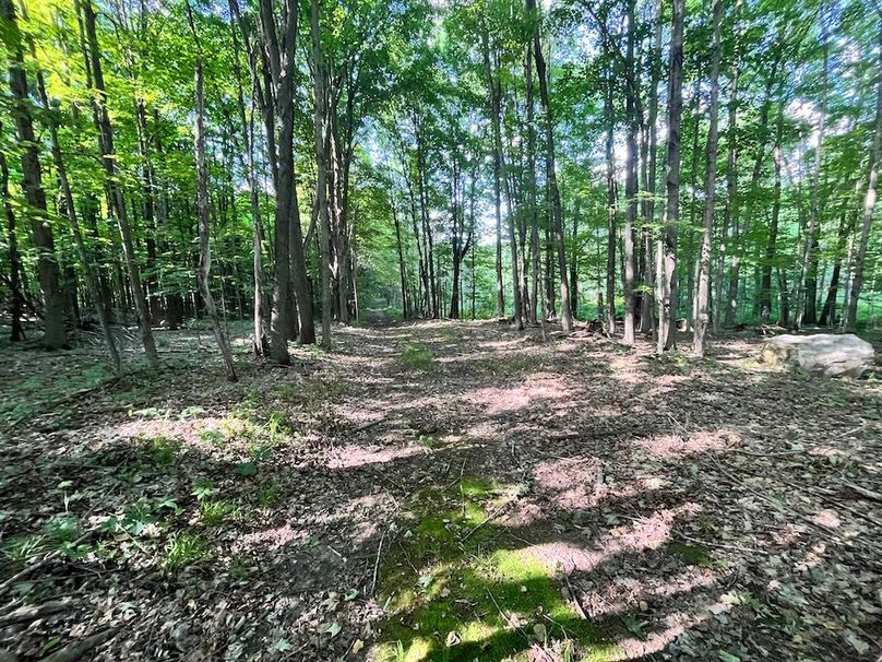 Jefferson_260.3_ Lobach_Photos_28