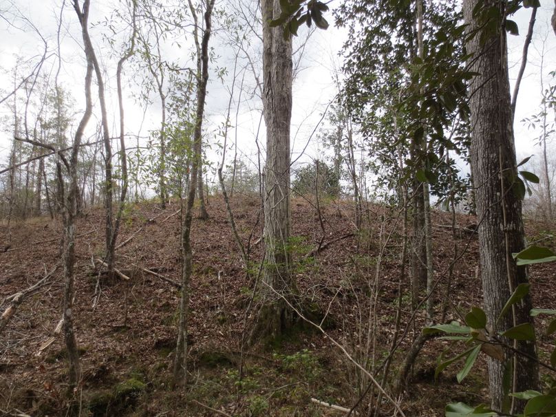 610B8B43-010B-4F4C-9EB5-37BFFC7E8F57