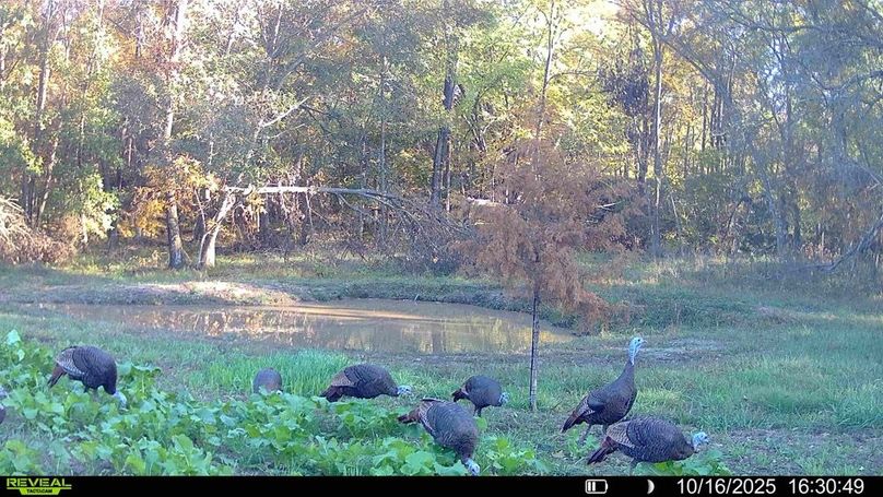 016578002265020-33-2-10162025172933-HD-SYFW10302