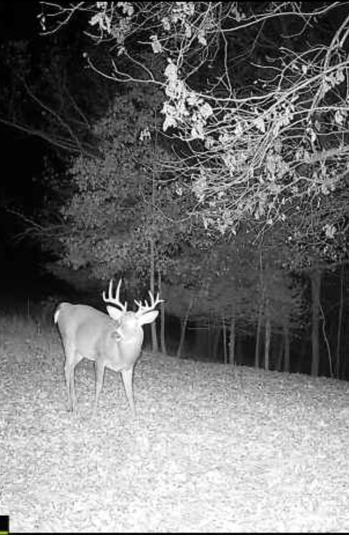 Screenshot 2024-03-03 at 7.13.53 PM