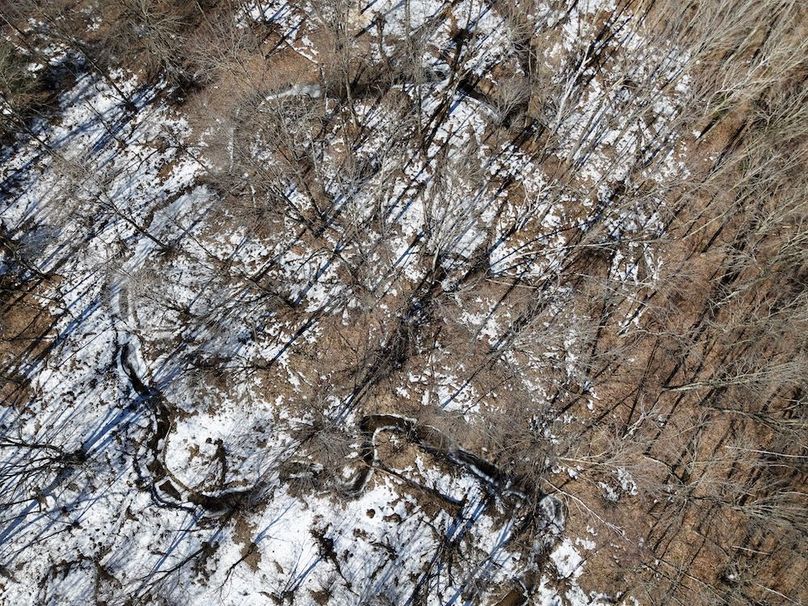 Jackson 27 Pics - 10