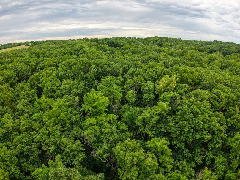 DJI_20250630070004_0282_D