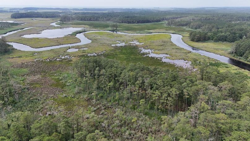 IMG18_60AC_dji_fly_20250613_103420_0017_1749852301048_photo