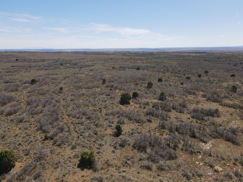 DJI_0002