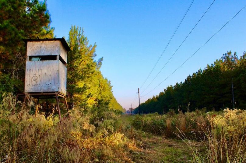 C712F43C-99F6-49D6-9D20-A796135FB2E9_1_201_a