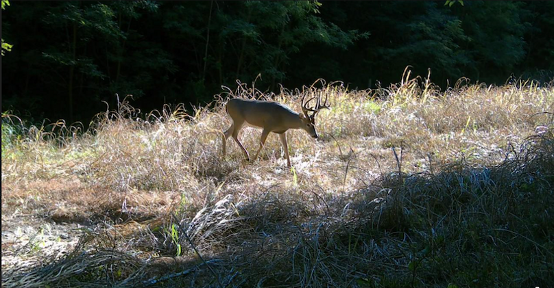 Screenshot 2025-09-24 at 3.06.17 PM