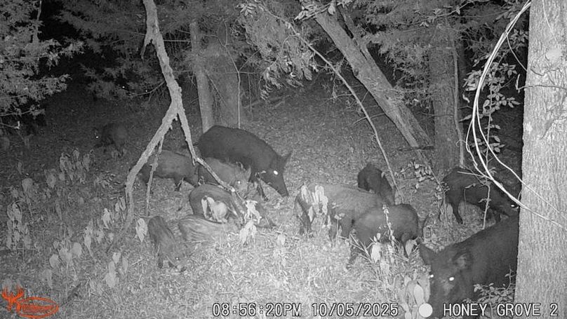 Lamar County- 93 acre reshoot (38 of 41