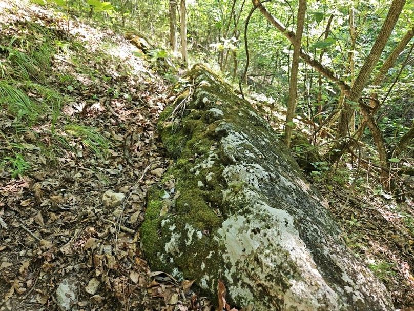 DJI_20240808_104612_155