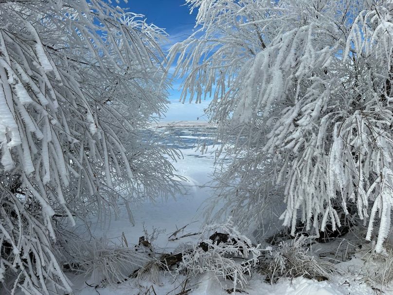 72436E1E-9535-40B7-B9A3-E3E761DBAA76_1_105_c