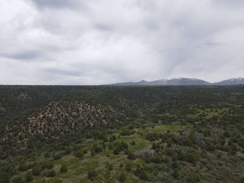 dji_export_1685968247885