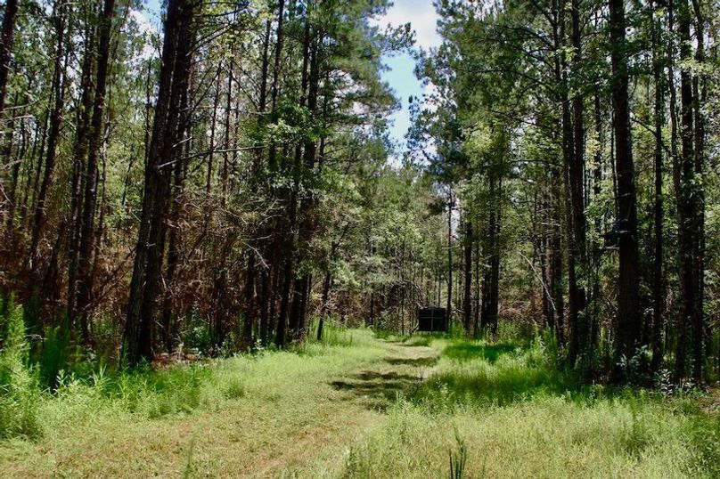 C5B9BC04-643A-4918-9ED3-16262F02B76B_1_201_a