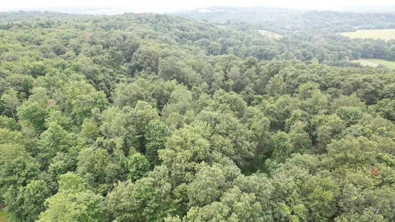 dji_fly_20250714_141240_439_1752537432462_photo