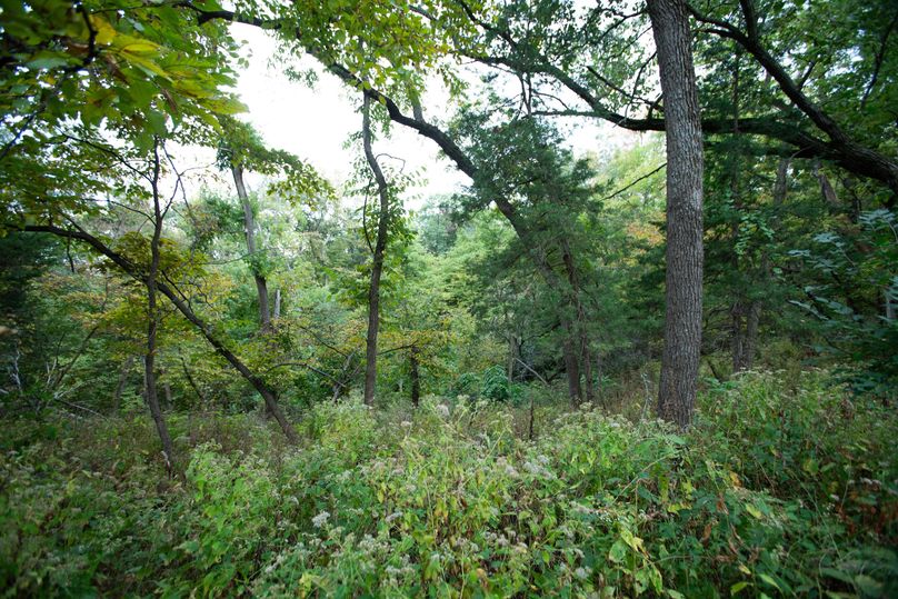 FREMONT CO. IA 158.32_115