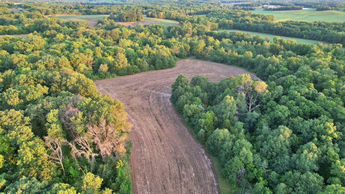 Hunting And Property In Northeast MO Whitetail Properties