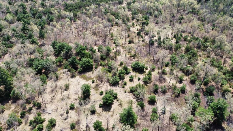 dji_fly_20230511_114402_455_1683838267918_photo_optimized