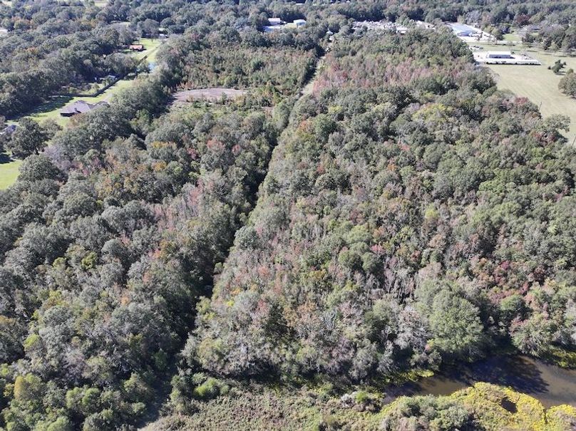 dji_fly_20251103_134216_0694_1762362215764_photo