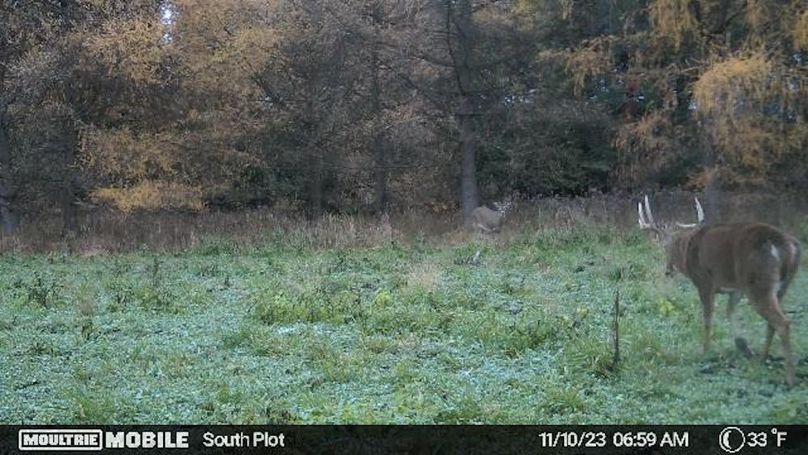 Temp_731870-20231110130022-20231110065912_002257