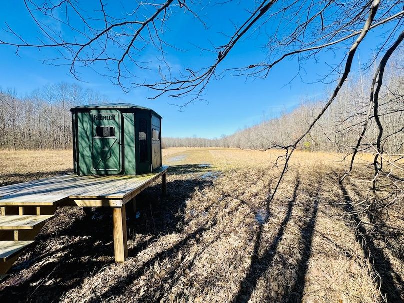 10 Bottomland plot