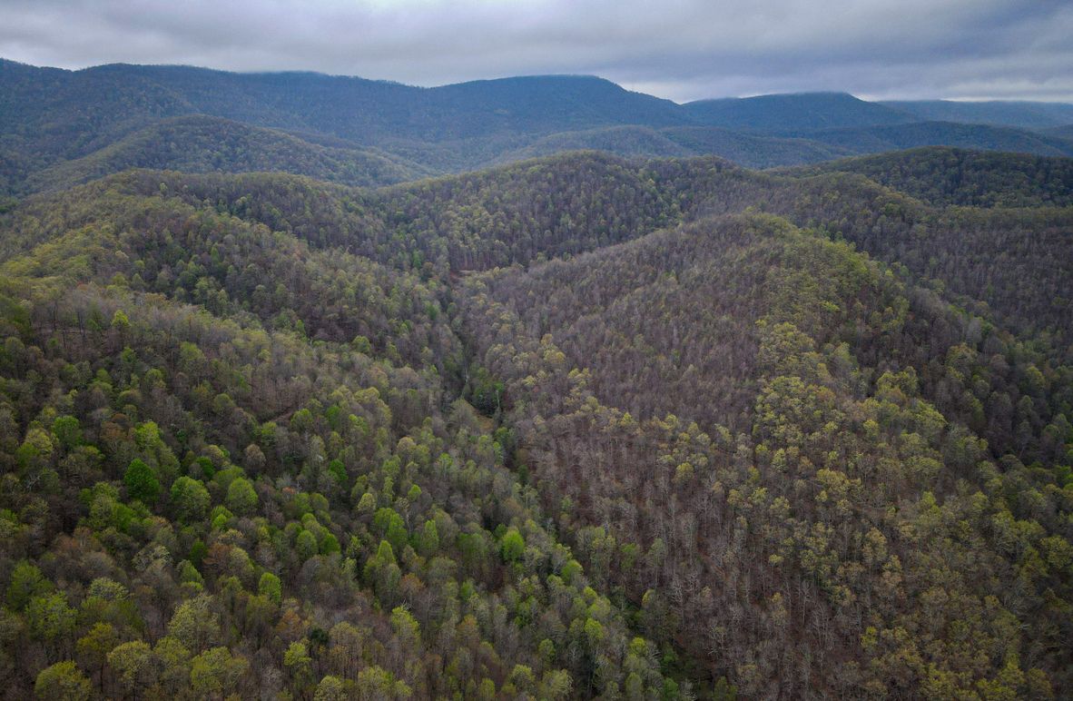 dji_fly_20230423_072128_627_1682248906988_photo