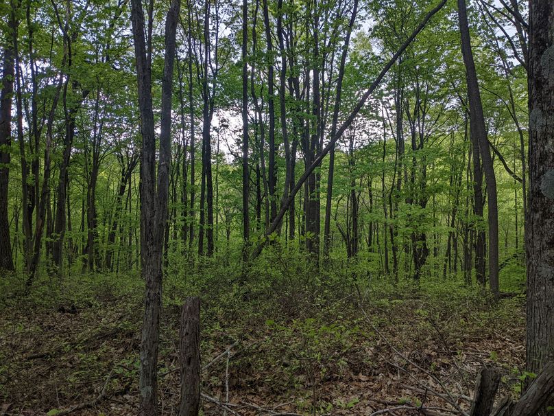 PXL_20230504_221152321