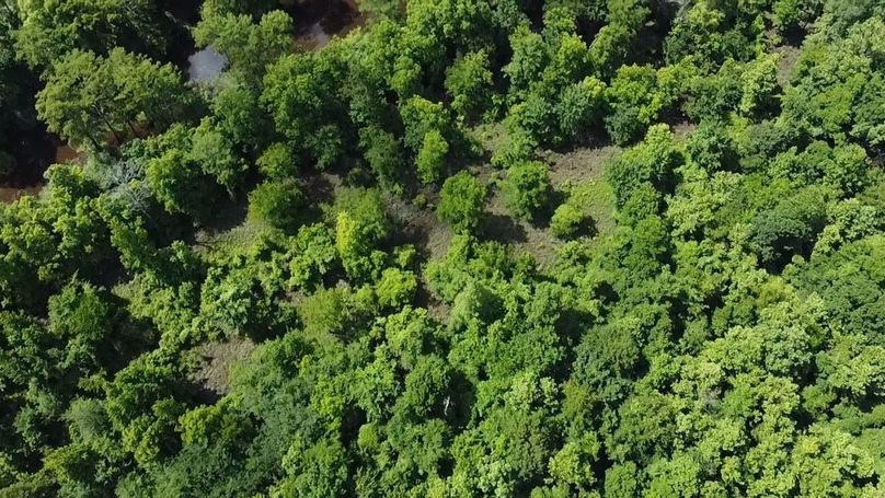 2024-06-01-10-34-26-735