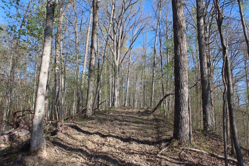 008 an open internal road leading up the point along the west area of the property