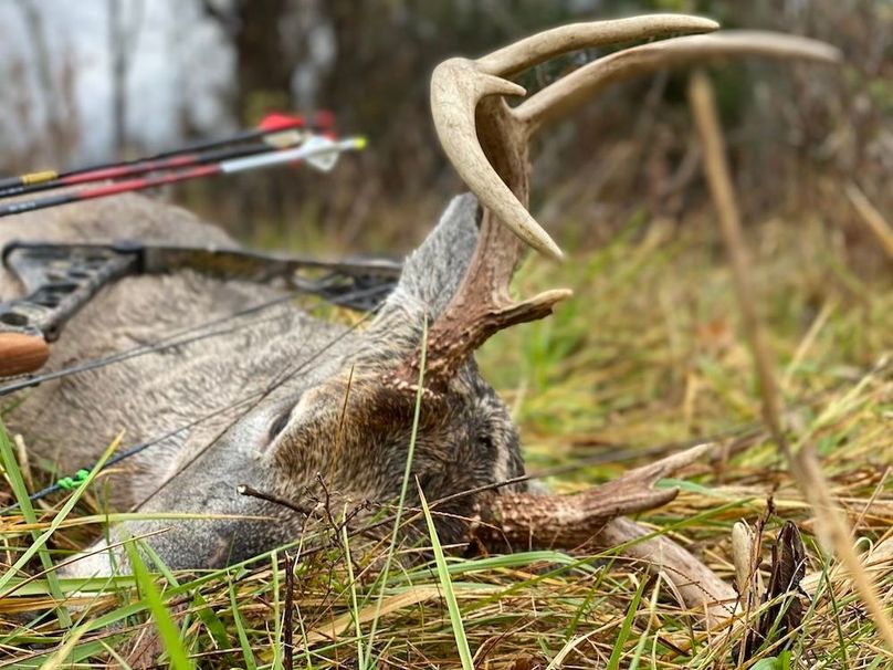 C8547994-A6C5-44A4-BCF4-8D29A71690E9IMG_4603 copy