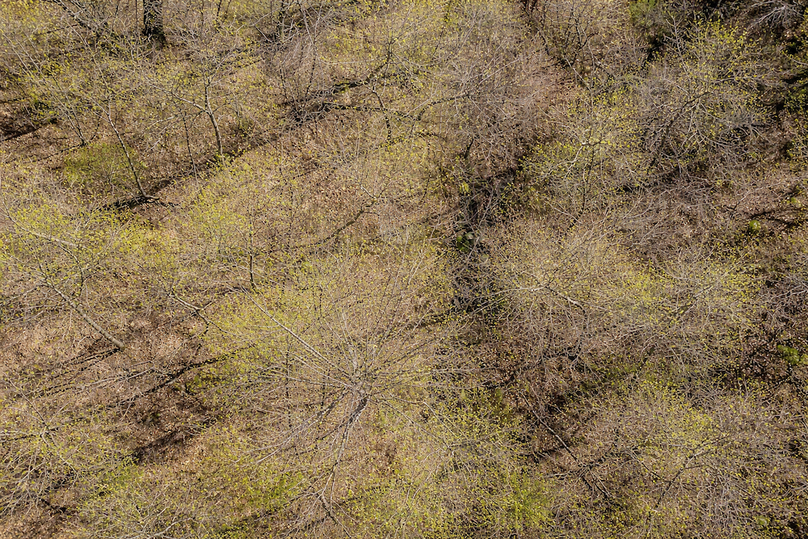 ChatGPT Image Mar 30, 2026, 12_38_10 PM