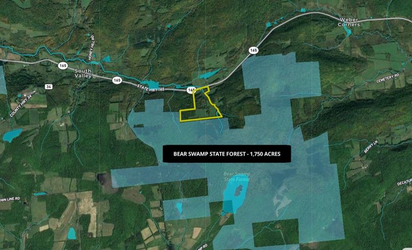 Otsego 50 Brazie Wide Area
