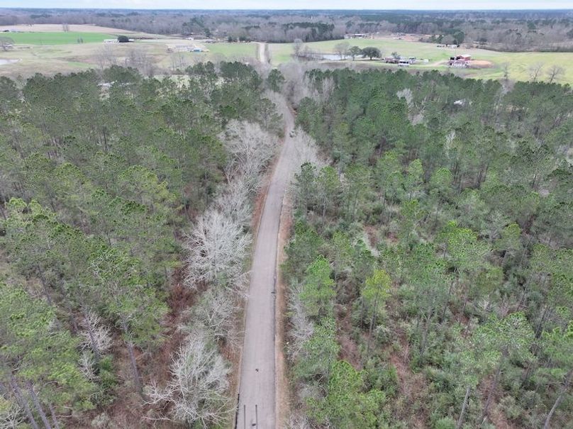 dji_fly_20260217_133248_0125_1771436926287_photo