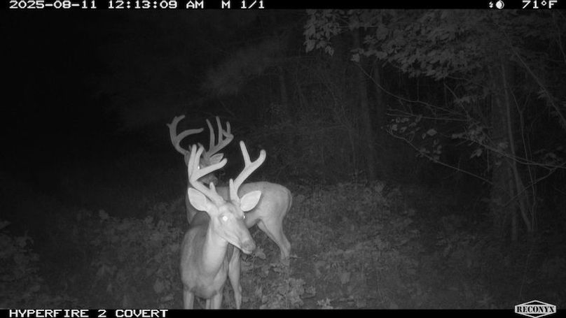 TwinStatesTrailCam32